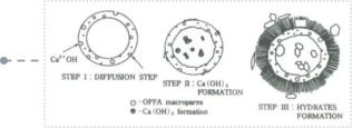 Pozzolanic Reaction